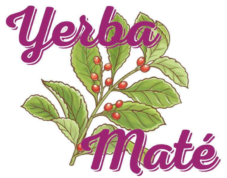 sketch image of mate plant with text yerba mate